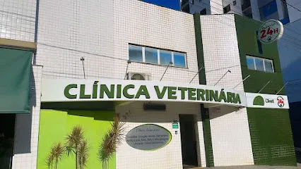 Imagem do melhor veterinário em Bom Despacho