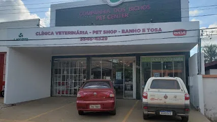 Imagem do melhor veterinário em Epitaciolândia