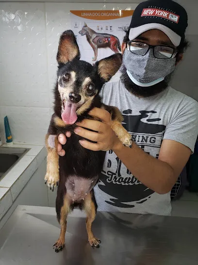 Consultório Veterinário Alessandra Lima en Manaus