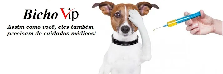 Imagem do melhor veterinário em Lins