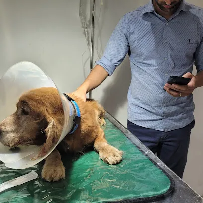 Consultório Veterinário Doutores da Matilha en Zona da Mata