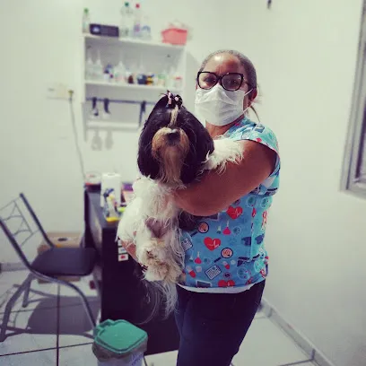 Imagem do melhor veterinário em Cametá