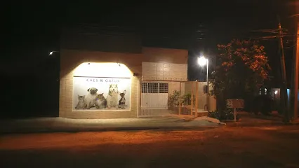 Consultório Veterinário e Pet Shop Cães & Gatos en Centro Oriental Rio-grandense