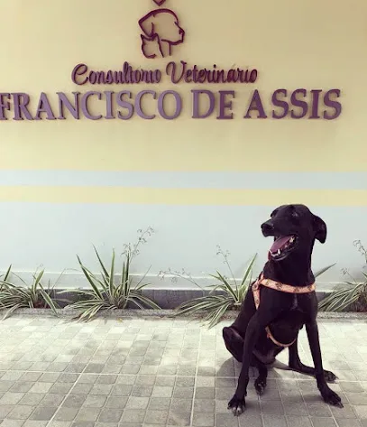 Consultóro Veterinário Francisco de Assis en Centro Sul Baiano