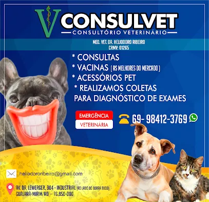 Imagem do melhor veterinário em Costa Marques