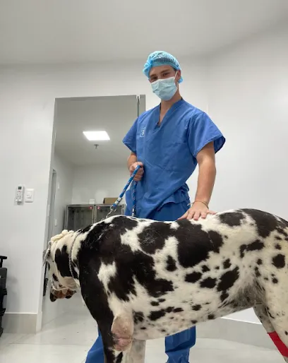 Foto de COVET - Clínica e Cirurgia Veterinária, uma clínica veterinária em Centro Fluminense