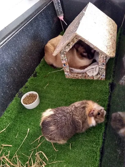 D'Arco Clínica Veterinária en Metropolitana de São Paulo