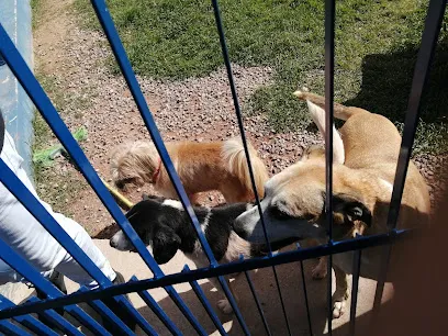 Foto de Diretoria de Bem-Estar Animal de Florianópolis, uma clínica veterinária em Santa Catarina