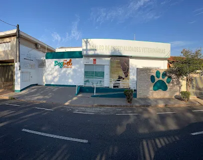 Foto de DogFel - Clínica Veterinária 24h São José do Rio Preto, uma clínica veterinária em São José do Rio Preto