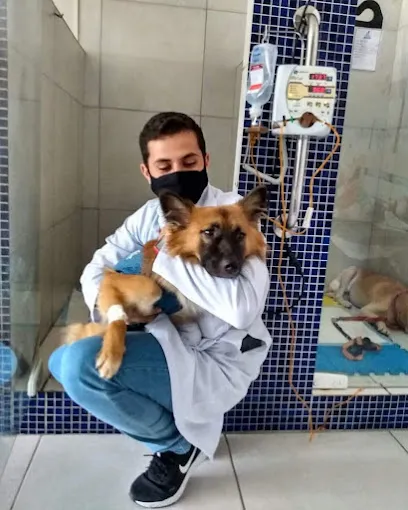 Dr. Filipe Simas - Médico Veterinário en Agreste Pernambucano