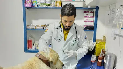 Dr. Marcelo Ritta - Médico Veterinário a domicílio en Rio Grande do Sul