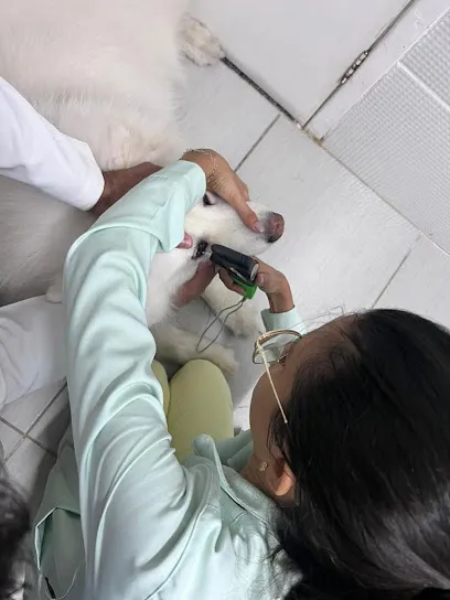 DRA ANA GLAUCIA OFTALMOLOGIA VETERINÁRIA en Centro Sul Baiano