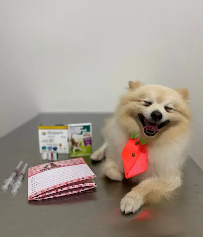 Dra. Laura Vilas Boas - Médica Veterinária en Triângulo Mineiro/Alto Paranaíba