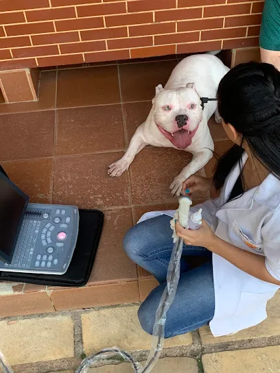 Foto de ECCV- Ultrassom Veterinária, uma clínica veterinária em Sul Fluminense