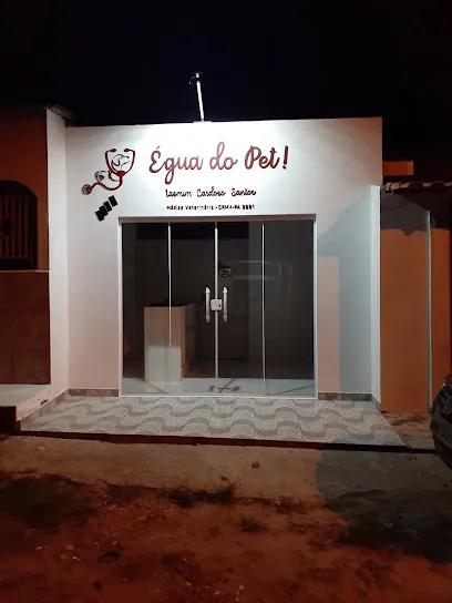 Égua do pet! Consultório e Pet Shop Veterinário en Santarém