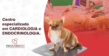 Endocardiovet: Cardiologia Veterinária, Endocrinologia Veterinária, Clinica veterinária 24 horas em bauru en Bauru