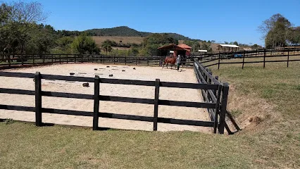 Equus Vet Medicina e Fisioterapia Equina en Metropolitana de Belo Horizonte