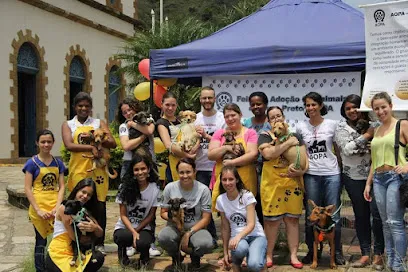 Evento de Adoção de Animais de Ouro Preto - AOPA en Metropolitana de Belo Horizonte