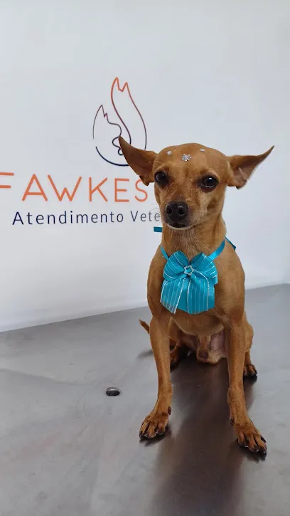 Foto de Fawkes Vet, uma clínica veterinária em Rio Branco