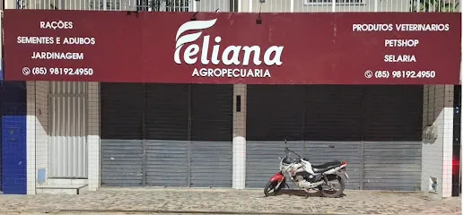 Foto de Feliana Agropecuária Baturité - Rações e Produtos Veterinários, uma clínica veterinária em Norte Cearense