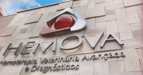 HEMOVA - Hemoterapia Veterinária Avançada e Diagnósticos en Bauru