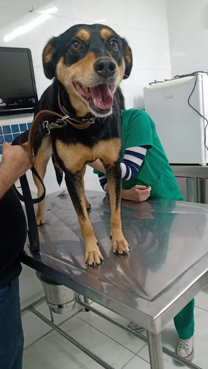 Imagem do melhor veterinário em Guarulhos