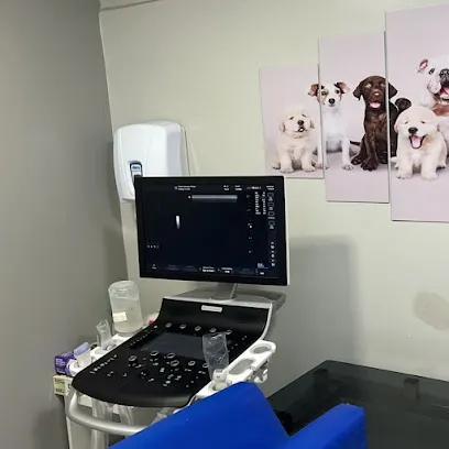 Foto de Hospital Veterinário 24h - PetCare, uma clínica veterinária em Agreste Pernambucano