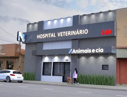 Imagem do melhor veterinário em Uberaba