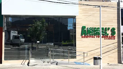 Imagem do melhor veterinário em Teresina