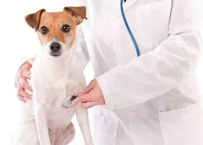 Foto de Hospital Veterinário Animamed, uma clínica veterinária em Centro Fluminense