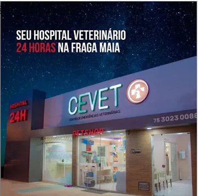 Imagem do melhor veterinário em Feira de Santana