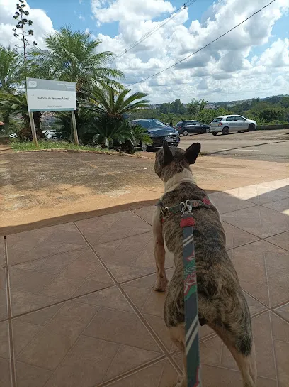 Hospital Veterinario de Grandes Animais - UFLA en Campo das Vertentes