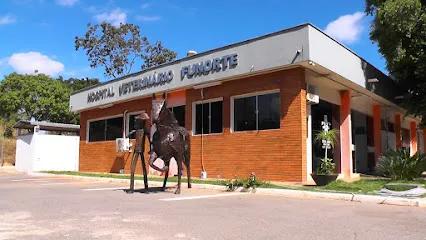 Imagem do melhor veterinário em Montes Claros