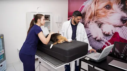 Foto de Hospital Veterinário Lemani Pet 24h