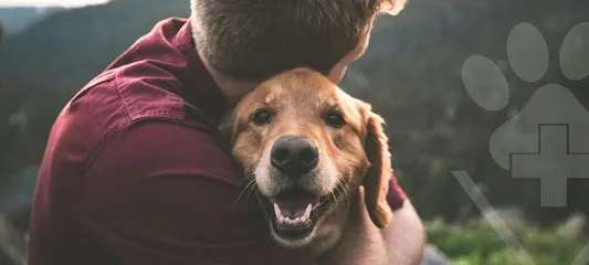 Foto de Hospital Veterinário LEVET, uma clínica veterinária em Metropolitana de Curitiba