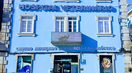 Imagem do melhor veterinário em Viseu