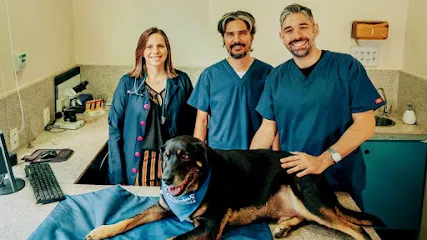 Foto de Hospital Veterinário MedVet, uma clínica veterinária em Metropolitana de Belo Horizonte