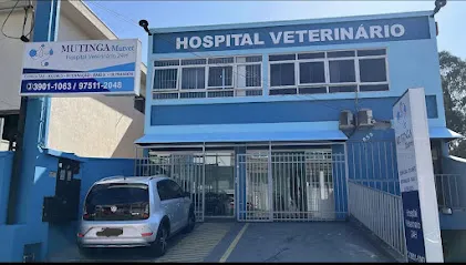 Hospital Veterinario Mutvet 24h- Unidade Pirituba en São Paulo