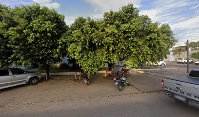 Foto de Hospital Veterinário Pequenos Amigos, uma clínica veterinária em Ji-Paraná