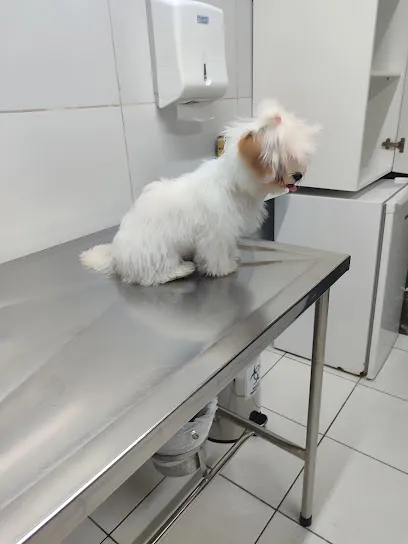 Imagem em destaque de Hospital Veterinário PetSanus 24h, uma clínica veterinária em Fortaleza