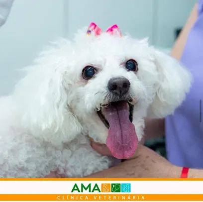 Foto de Hospital Veterinário & PetShop AMA Colatina, uma clínica veterinária em Noroeste Espírito-santense