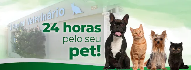 Imagem do melhor veterinário em Limeira