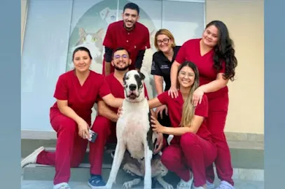 Hospital Veterinário Planalto - Clínica Veterinária Manaus en Manaus