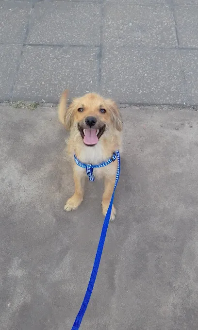 Foto de Hospital Veterinario Rafael Calzada, uma clínica veterinária em Altamira