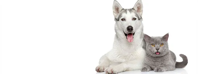 Hospital Veterinário São Pedro en São Paulo