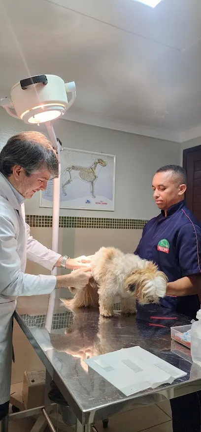 Foto de Hospital Veterinário Tico e Teco, uma clínica veterinária em Rio Grande do Norte