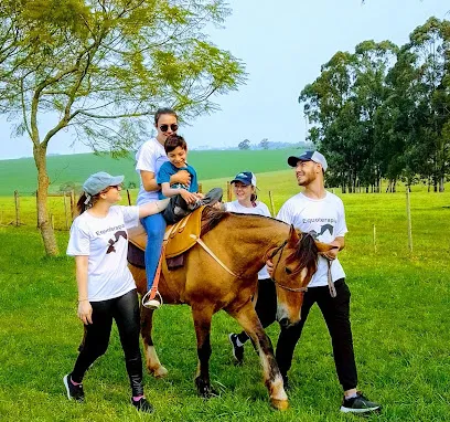 Imagem do melhor veterinário em Cruz Alta