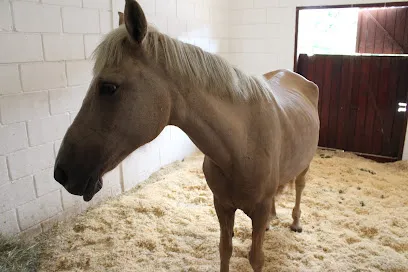 Foto de Hospital Veterinário UNIFEOB, uma clínica veterinária em Baixadas