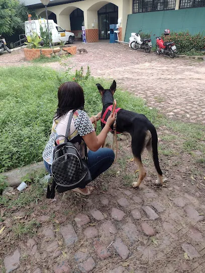 Foto de Hospital Veterinário Universitário - HVU, uma clínica veterinária em Piauí