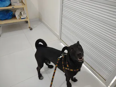 Foto de Hospital Veterinário Universitário - UEMA, uma clínica veterinária em Norte Maranhense